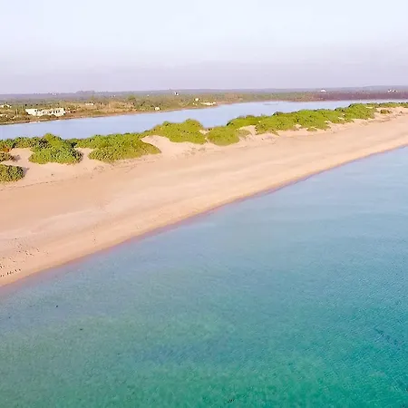 Casa Tulipano 1 Sx A 200 Mt Dal Mare Di * Torre Colimena