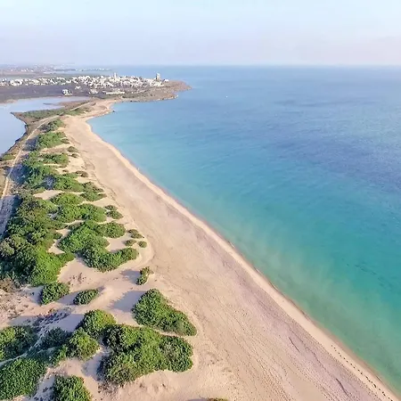 Casa Tulipano 1 Sx A 200 Mt Dal Mare Di Holiday home Torre Colimena