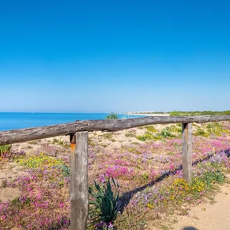Casa Tulipano 1 Sx A 200 Mt Dal Mare Di *